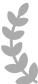 Trustpilot wings