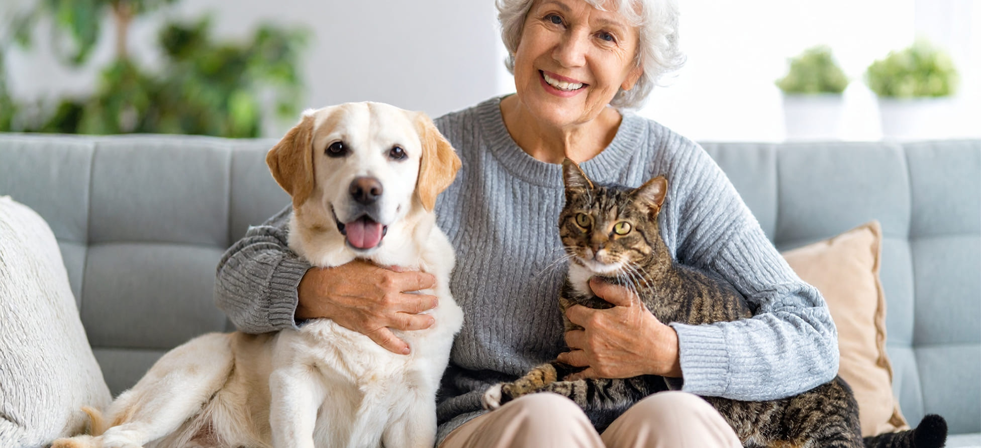 Moving Pets to Australia