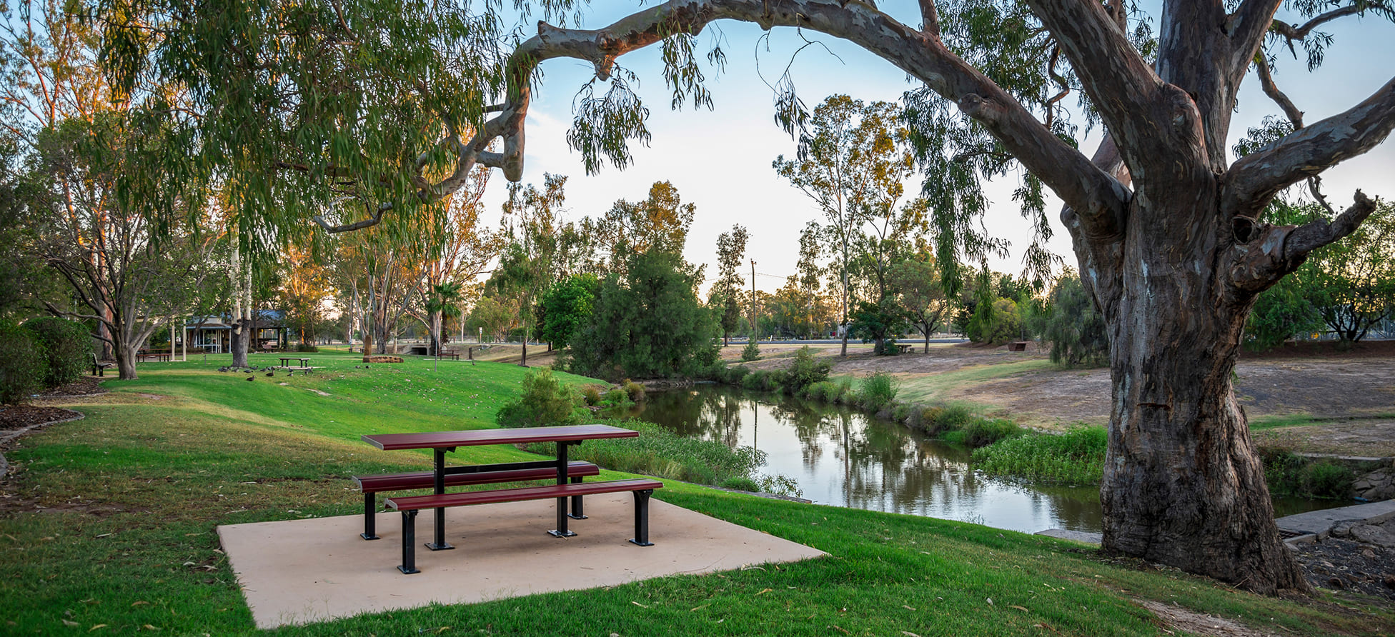 Moving from New York to Parkland