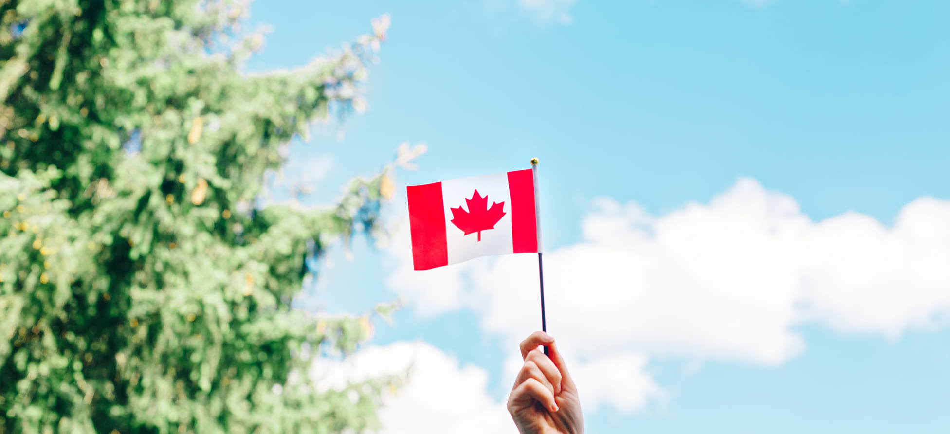 Cost of Moving from Florida to Canada