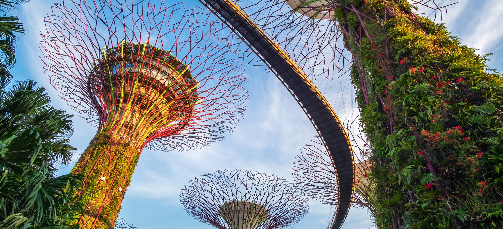 Moving to Singapore From the US