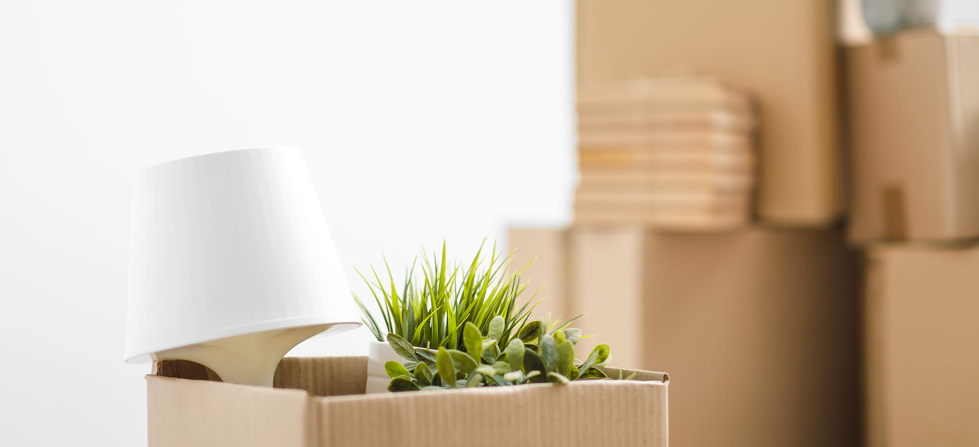 How to choose the right international moving service