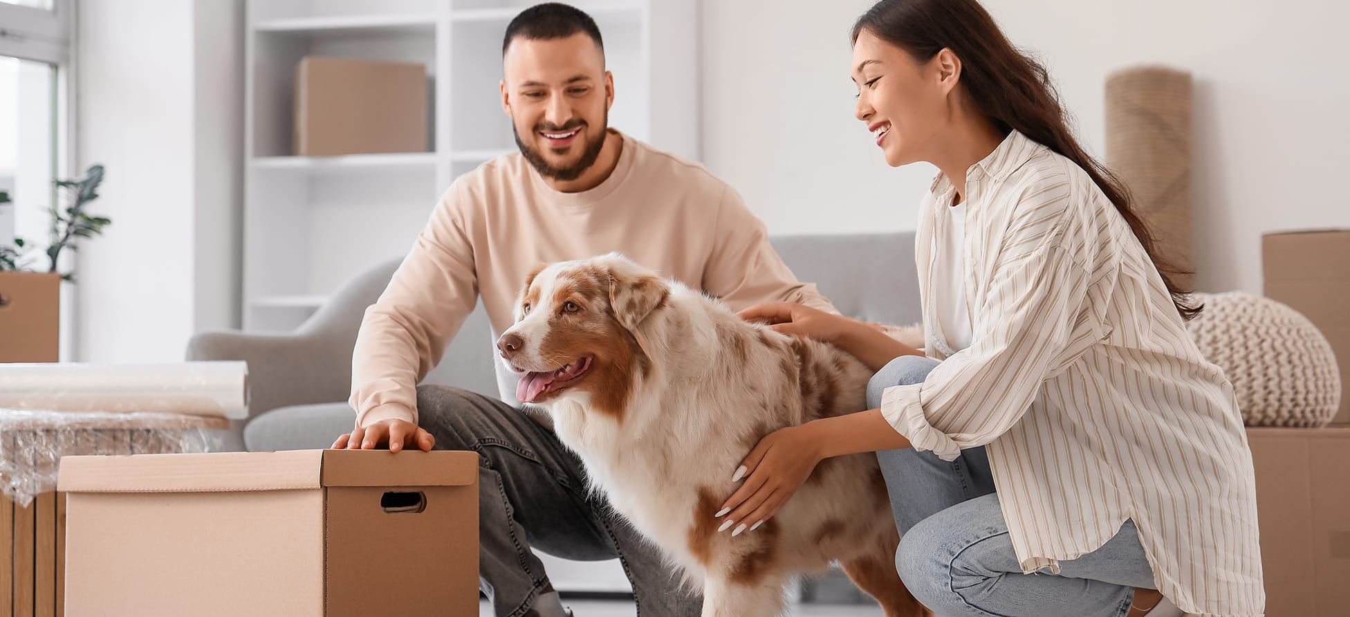 5 Tips For Moving Overseas With Animals