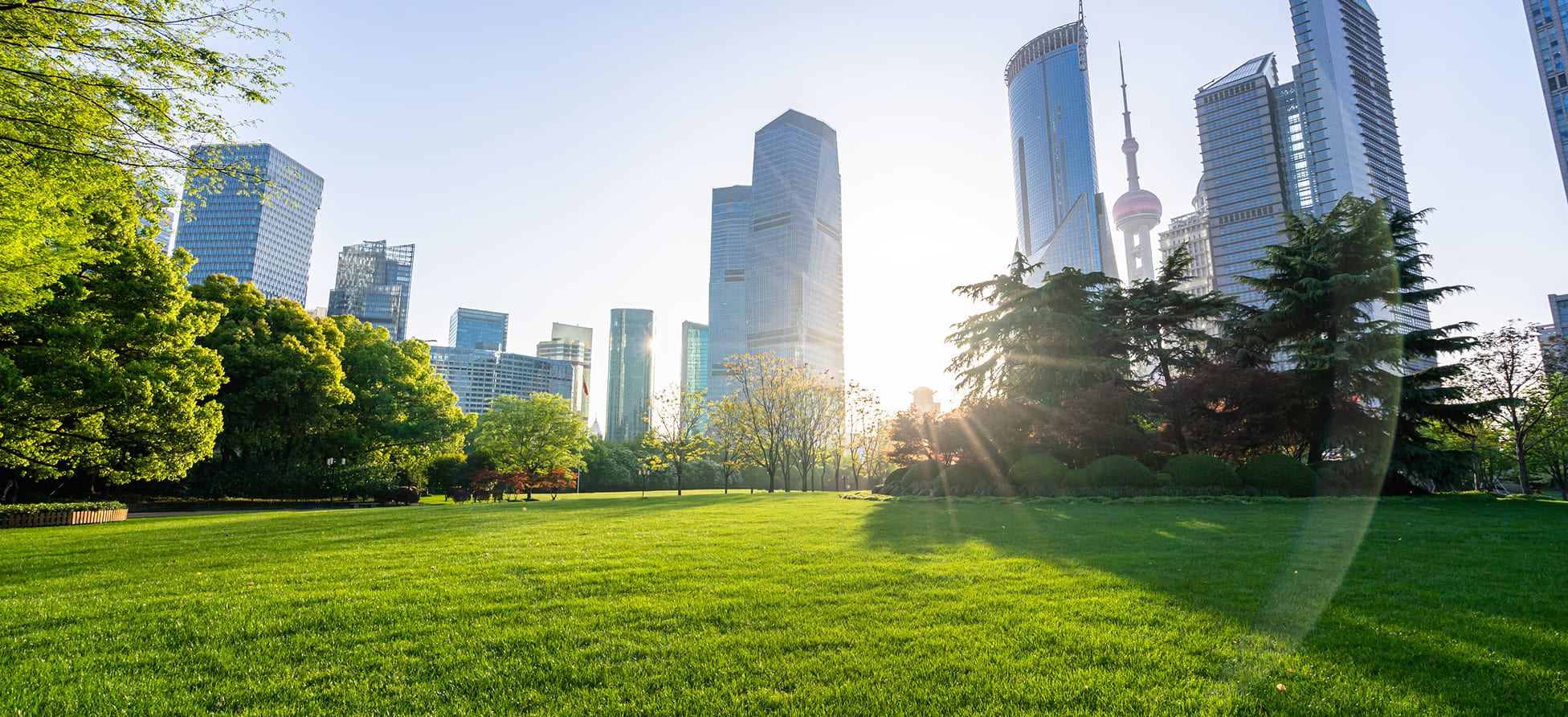 Best Moving Companies in Houston, TX