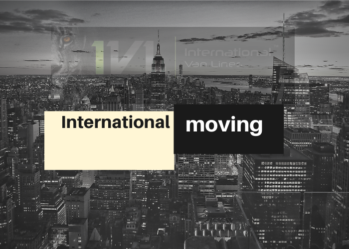 International Moving Costs Breakdown