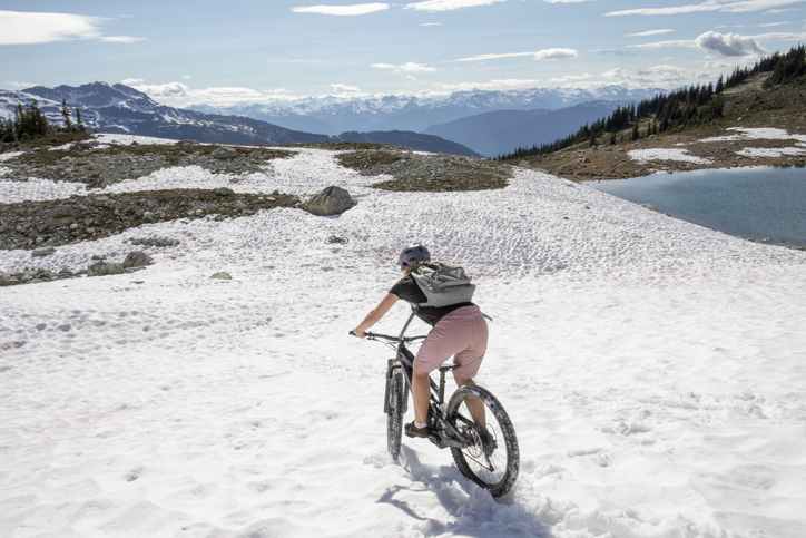 Moving from California to Canada