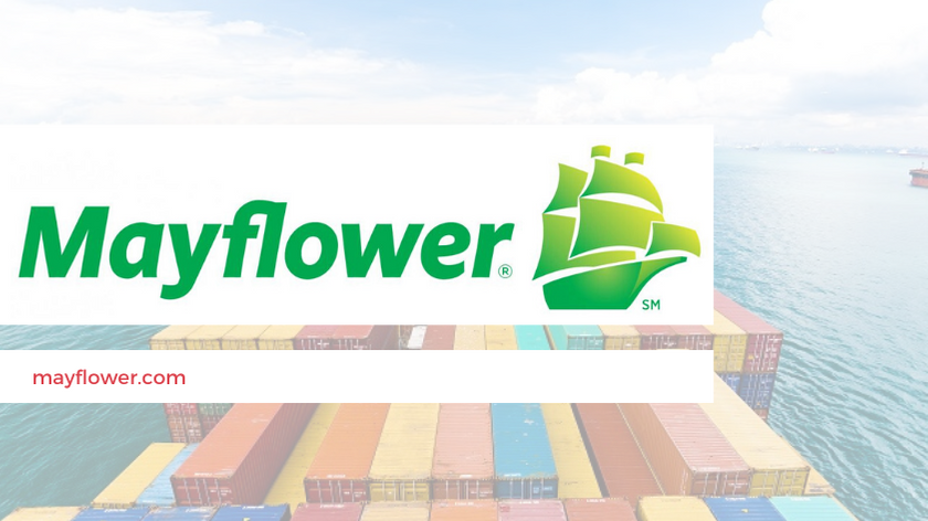 Top 5 international movers
