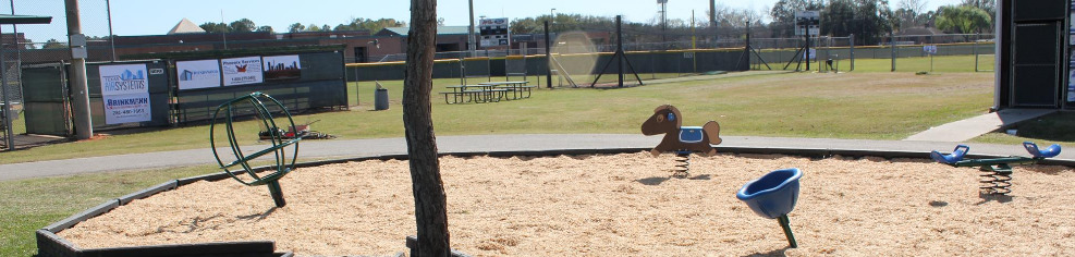 Renwick Park, Friendswood