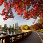 Cheapest Way to Move to Canada