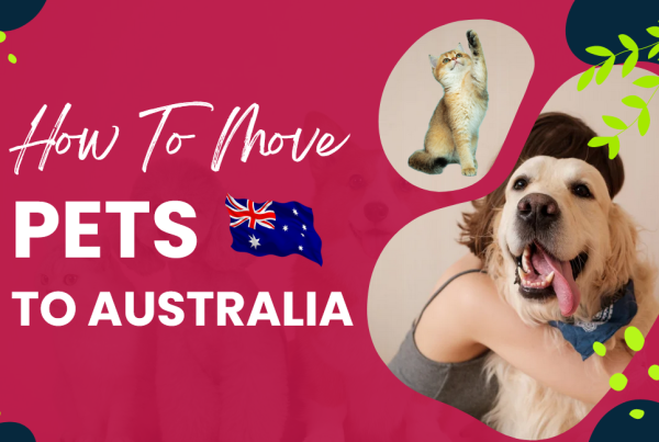 How to move pets to Australia