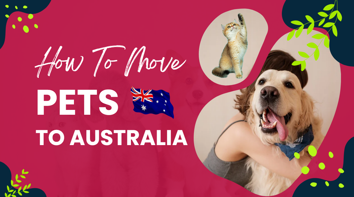 How to move pets to Australia