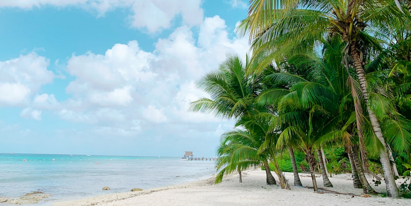 Beach on Cozumel, off the Yucatan Peninsula, near Cancun