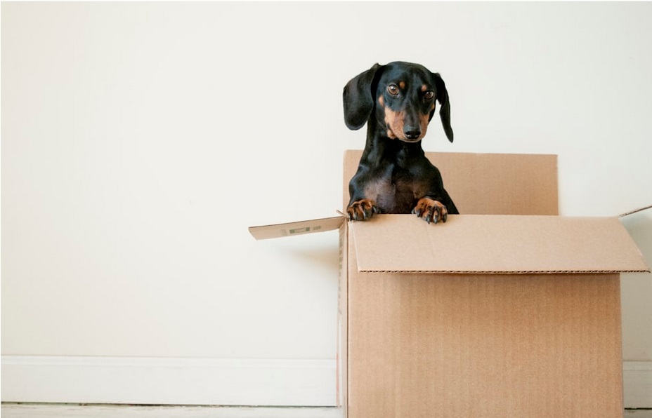 Tips to Pick the Best Moving Company