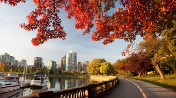 Cheapest Way to Move to Canada